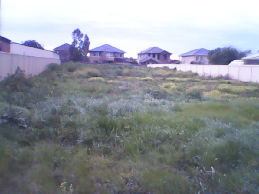 Picture